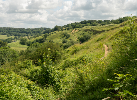 Trails at Crickley Hill 