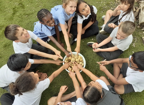 children excitedly pointing at the potatoes that they grew