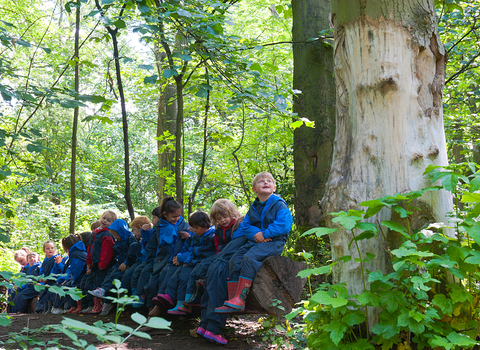 Children taking part in a woodland engagement group