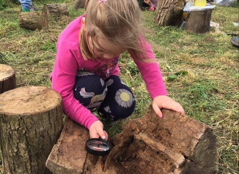 child looking for bugs with a magnifying glass