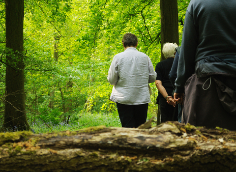 People walking in a woodland