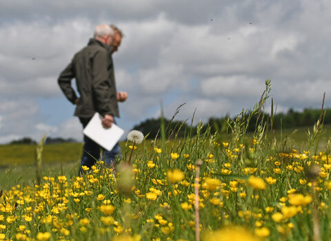 Two people standing in a field of grasses and flowers, the flowers are in focus