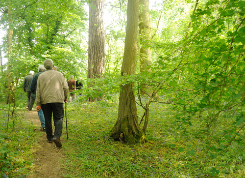 30 Days Wild care homes