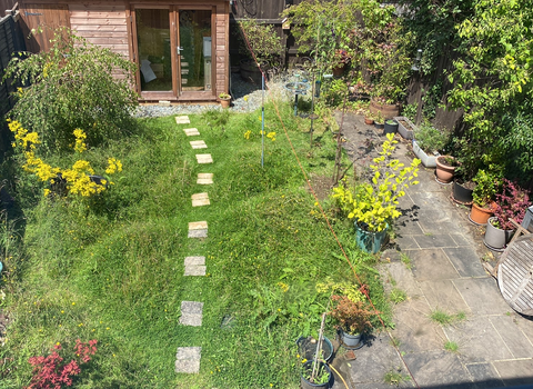 Suburban garden with a range of plants and places for wildlife