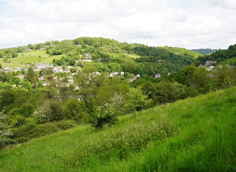 The view from an area of grassland, towards a mosaic of trees, houses, and another hill in the background.