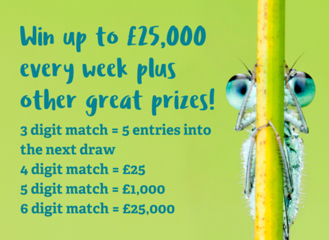 Win up to £25,000 every week plus other great prizes! 3 digit match = 5 entries into the next draw 4 digit match = £25 5 digit match = £1,000 6 digit match = £25,000