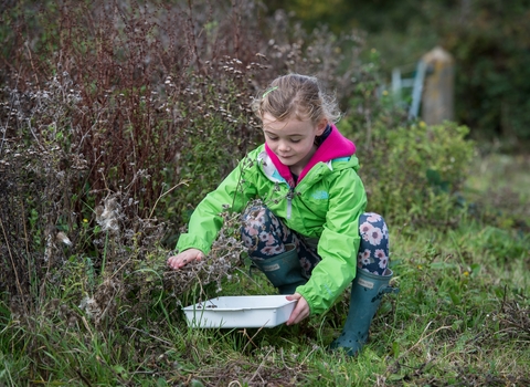 Child exploring at nature reserve