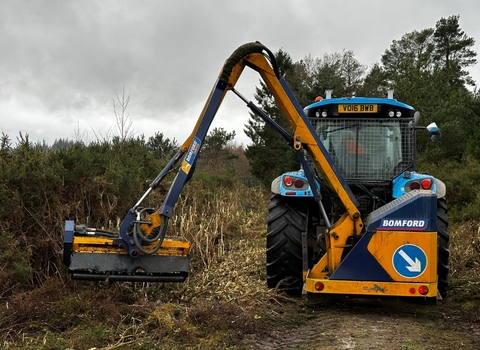 Gorse mulching