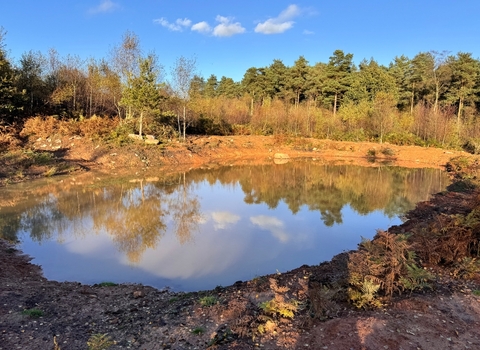 Pond creation