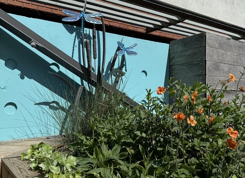 Rain garden planter with dragonfly features