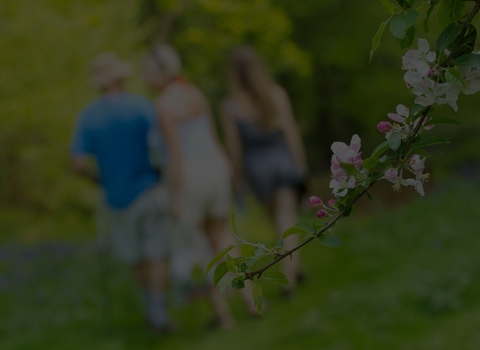 Family walking in spring