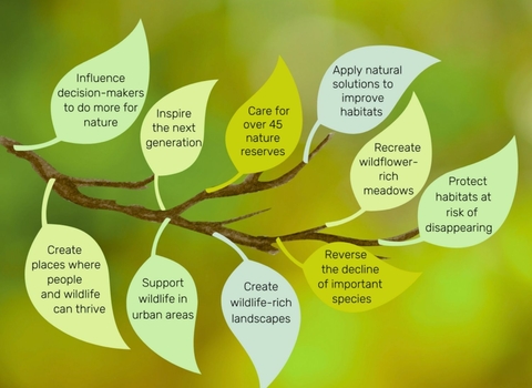 Membership Benefits