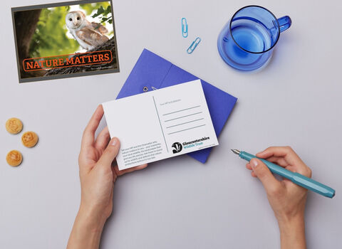 Send a post card to your MP