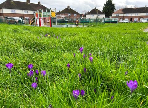 Green space enhancement - Do One Thing