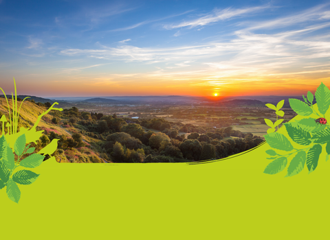 A landscape view of the sunset from Crickley Hill