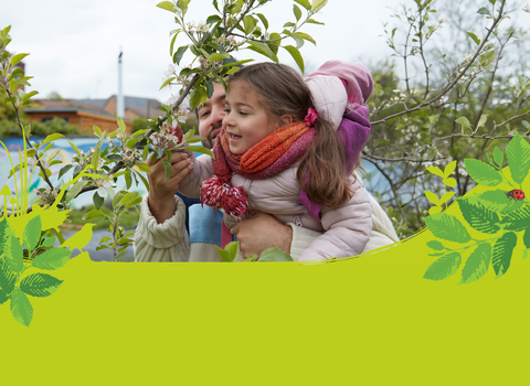 A child looking at the blossom on a tree