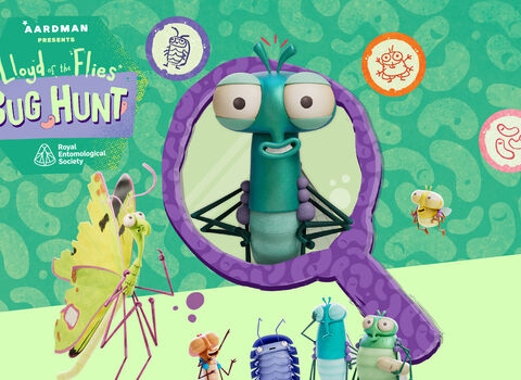 Lloyd of the flies and his friends promoting the bug hunt